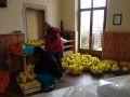 IMG 1522 IMG 1522