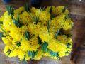IMG 1539 IMG 1539