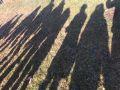 IMG 1565 IMG 1565