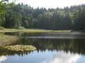 IMG 2240 IMG 2240