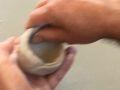 IMG 3051 IMG 3051